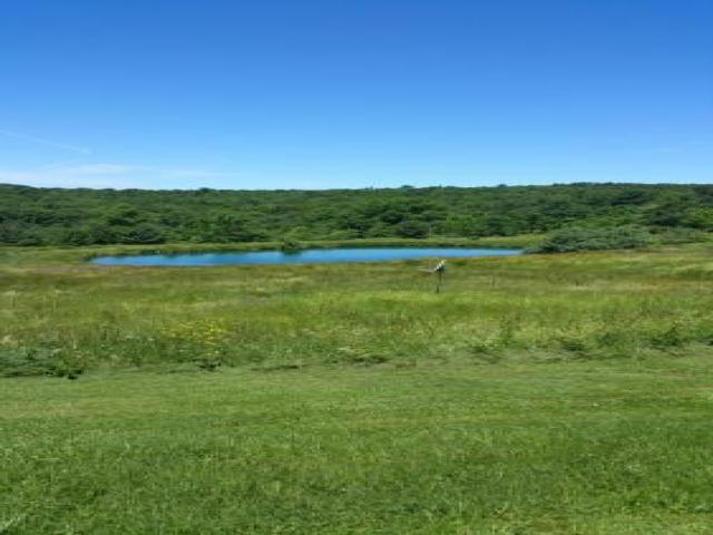 162 Case Rd - Photo 3 of 4