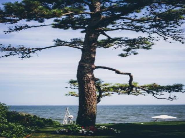 8070 Peconic Bay Blvd - Photo 3 of 6