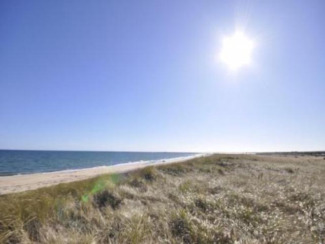 359 Phillips Rd - Photo 3 of 6