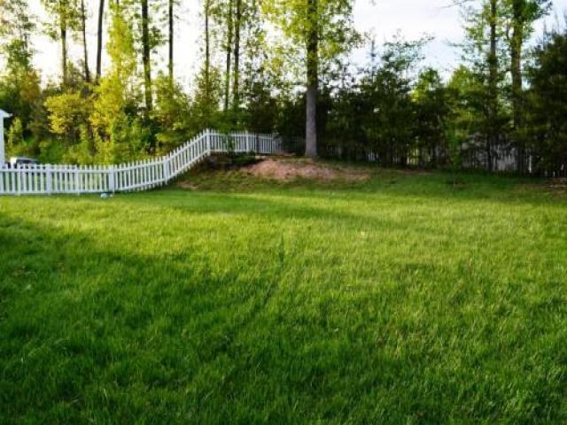 10117 Elliston Ct - Photo 2 of 5