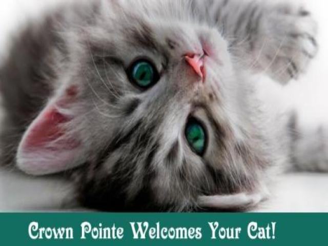 28 Federal St - Photo 2 of 6