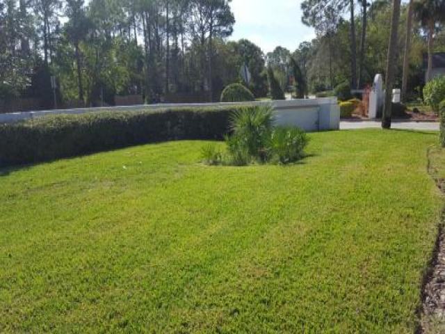 100 Innisbrook Cir - Photo 2 of 6