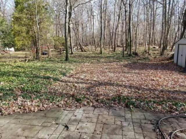 559 Vineland Rd - Photo 2 of 6