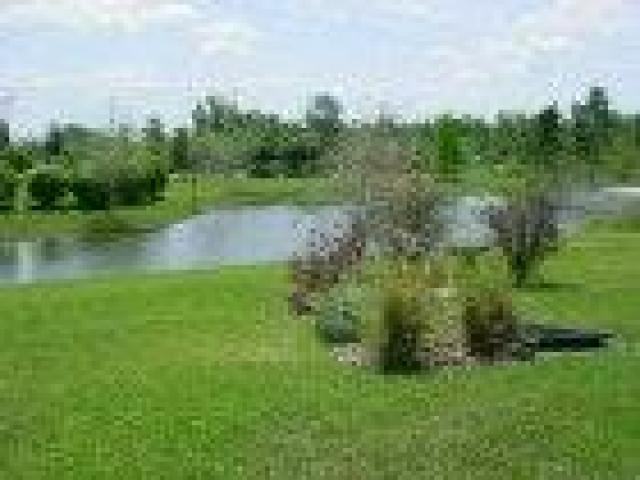 2307 Greenwillow Dr - Photo 2 of 6