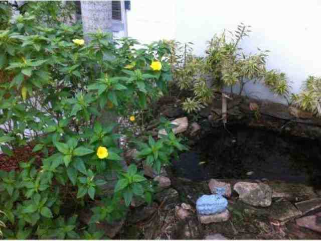 483 Orange Ave - Photo 3 of 6