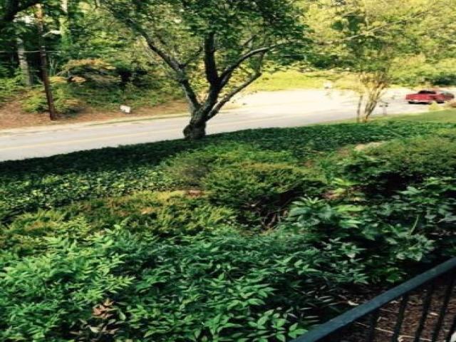 730 Powder Springs St - Photo 2 of 6