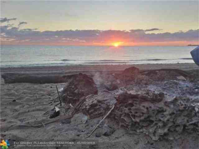 2520 N Atlantic Blvd - Photo 2 of 6