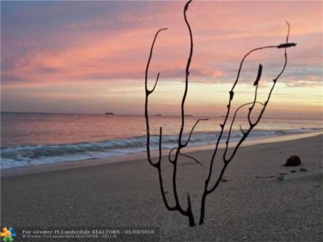 2520 N Atlantic Blvd - Photo 3 of 6