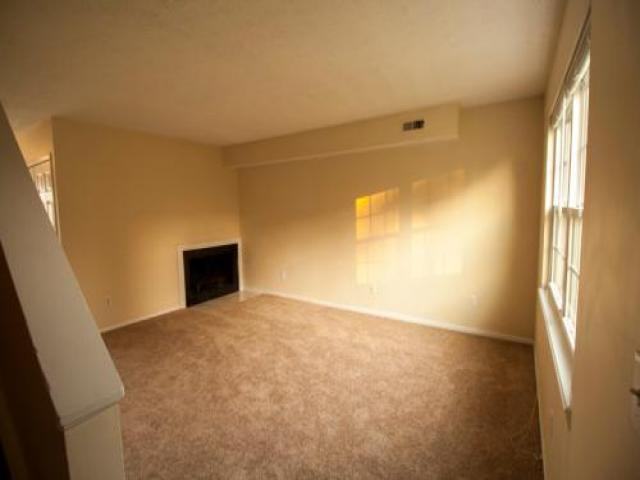 7362 Bride Water Blvd - Photo 2 of 6