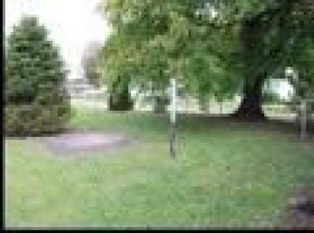 2315 Michael Ave - Photo 3 of 6