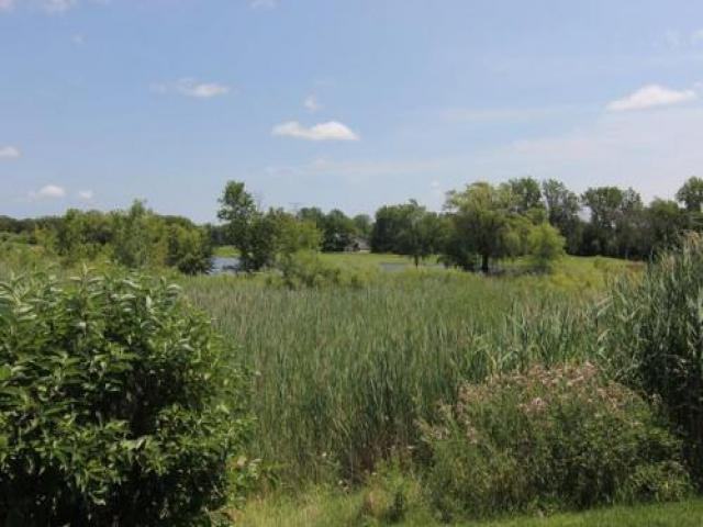 2917 Concord Ln - Photo 2 of 6