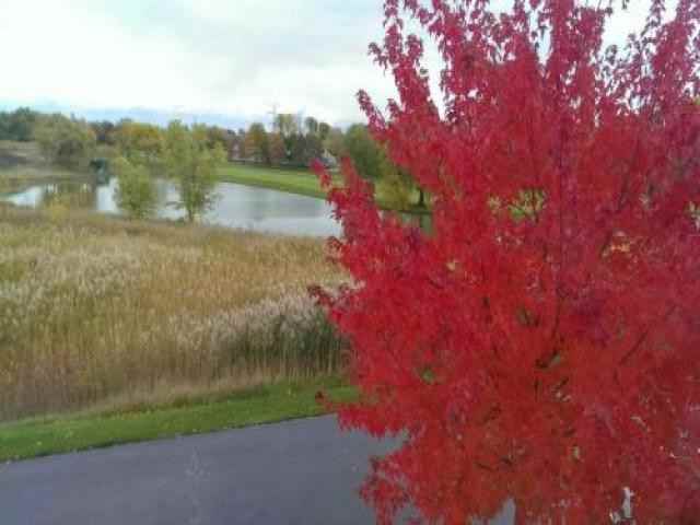 2917 Concord Ln - Photo 3 of 6