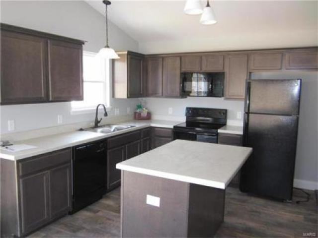 339 Cuivre Creek Ct - Photo 3 of 6