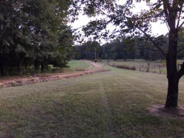 2300 Frank Hall Rd - Photo 2 of 6