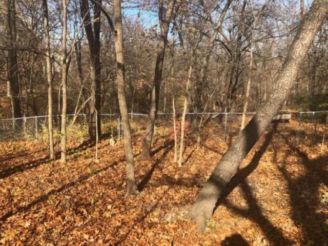 102 Randolph Dr - Photo 3 of 4