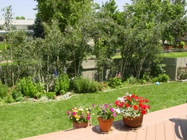 10975 Gray Cir - Photo 3 of 4