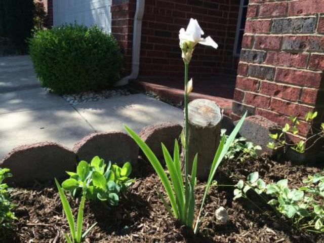 5857 Palomino Dr - Photo 3 of 6