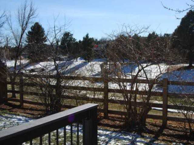 11692 W Hornsilver Mountain - Photo 3 of 4