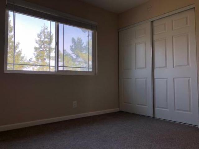 5042 Gazania Dr - Photo 3 of 6