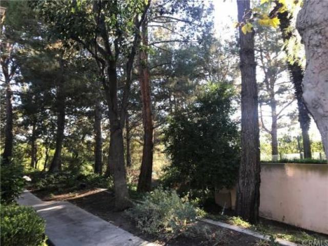 10 Via Madera - Photo 3 of 6
