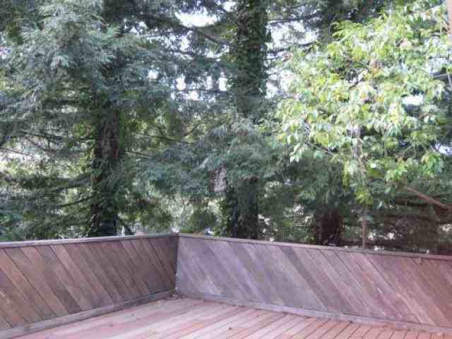 45 Bungalow Ave - Photo 3 of 6