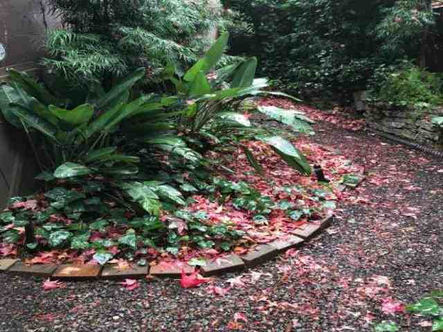 49 Bungalow Ave - Photo 3 of 6