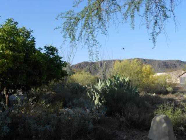 6077 W 10 Star Dr - Photo 3 of 6