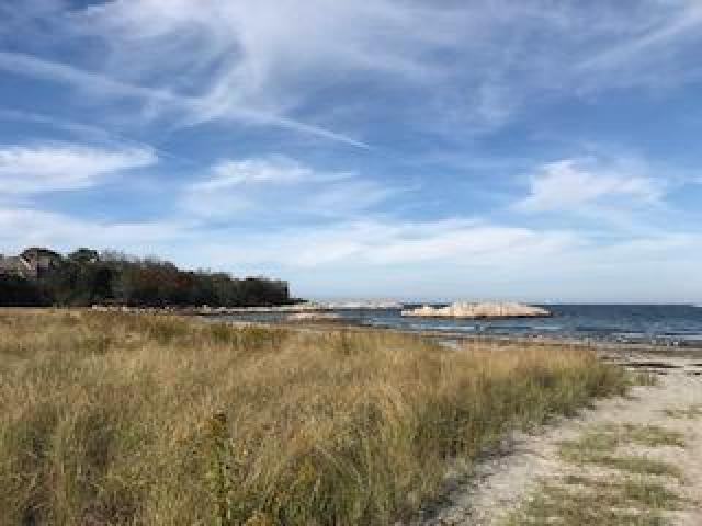 86 Atlantic Ave - Photo 3 of 6