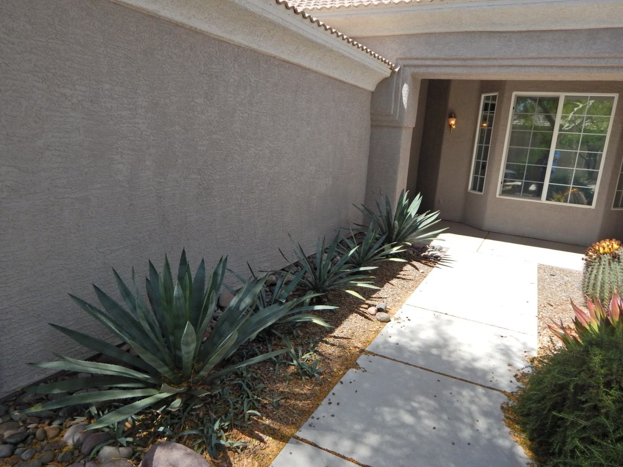 5378 W Desert Flora Pl - Photo 2 of 18