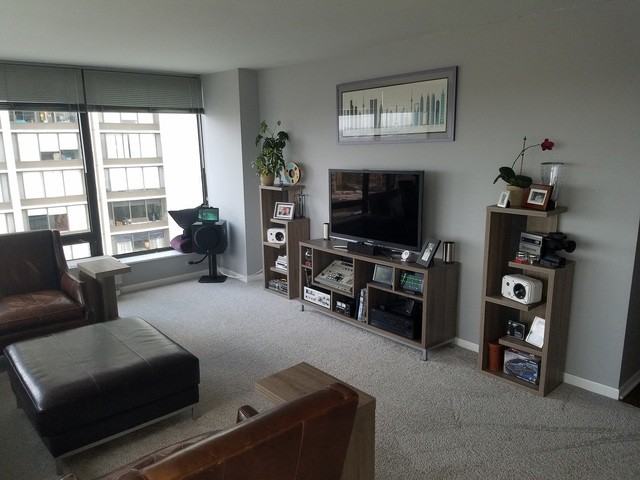 5450 North Sheridan Road #28742 - Photo 3 of 13