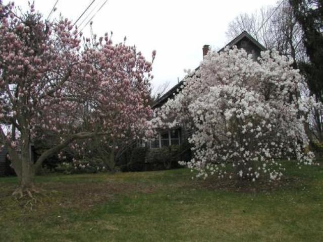 30 High St - Photo 2 of 6