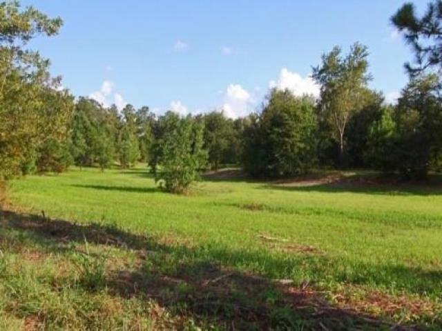 9810 Hidden Pond Rd - Photo 2 of 6