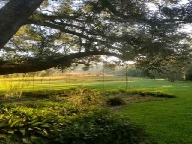 9810 Hidden Pond Rd - Photo 3 of 6