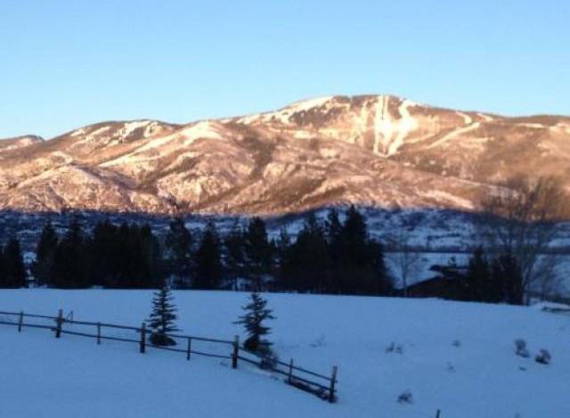 35040 Country Green Rd - Photo 3 of 6