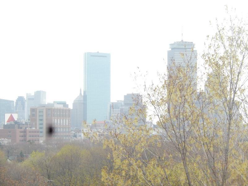 Pleasant St #406 - Photo 2 of 15