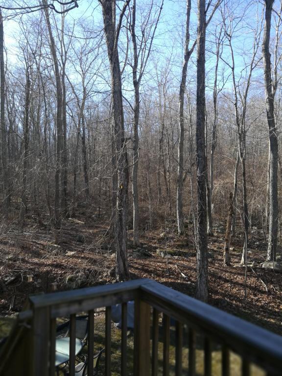 Wood's Edge Apartments - Photo 2 of 13