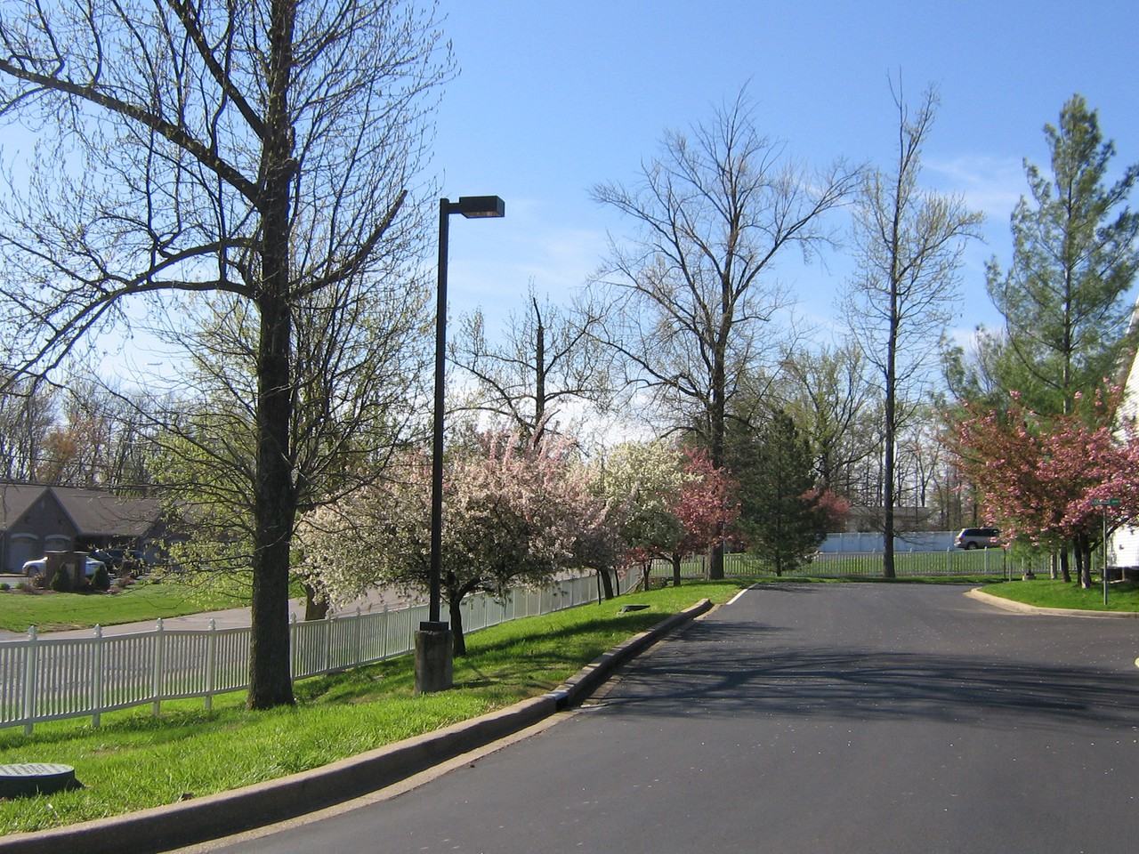 Kenzi Estates - Photo 2 of 11