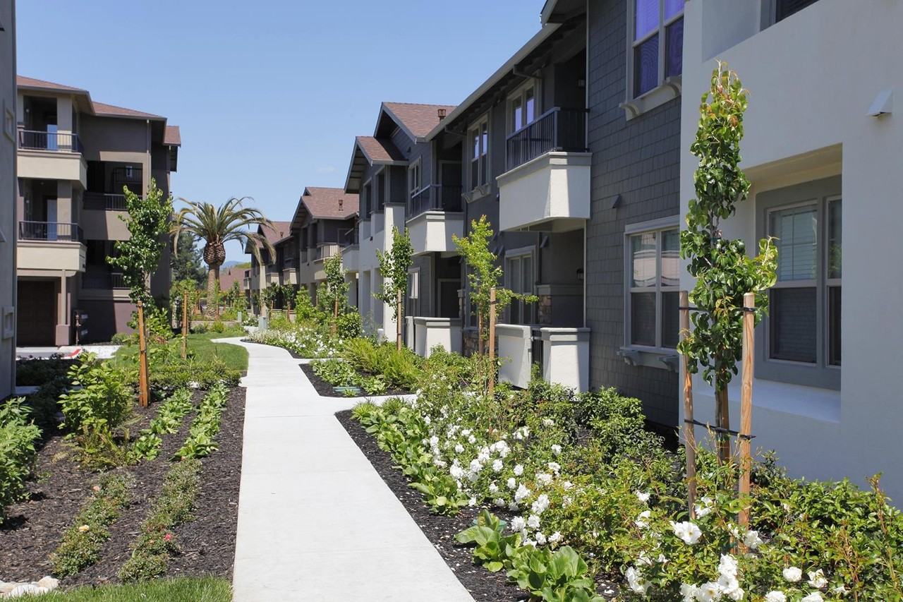 Anton Napa - Photo 3 of 26