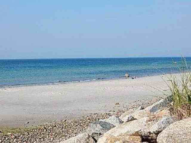 56 Glendon Rd - Photo 2 of 6