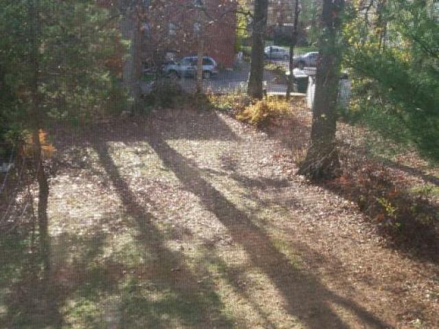 7014 Wallis Ave - Photo 2 of 6