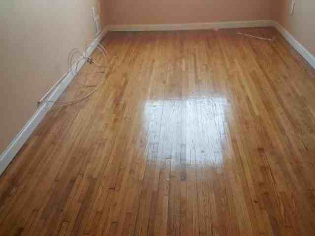 1026 E 215th St - Photo 2 of 6