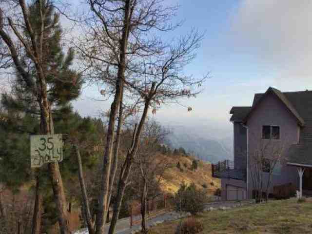 35 Holly Dr - Photo 2 of 6