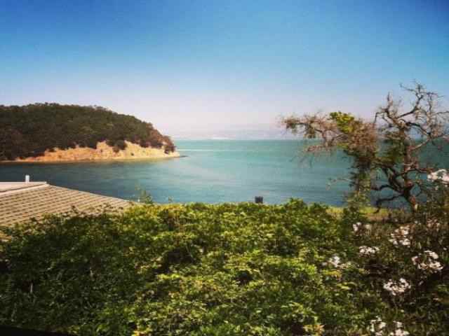 2430 Paradise Dr - Photo 2 of 6