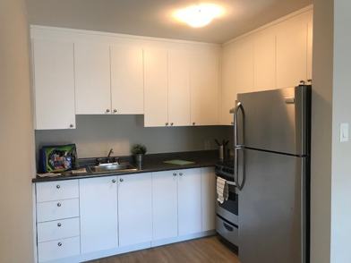 1111 Rue Mistral Montreal Qc H2p 2x6 1 Bedroom Apartment For Rent For 1 019 Month Zumper