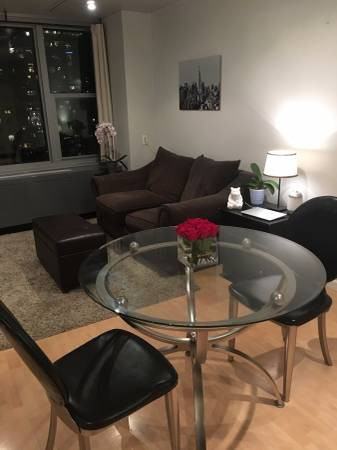 400 East Randolph Street #3204