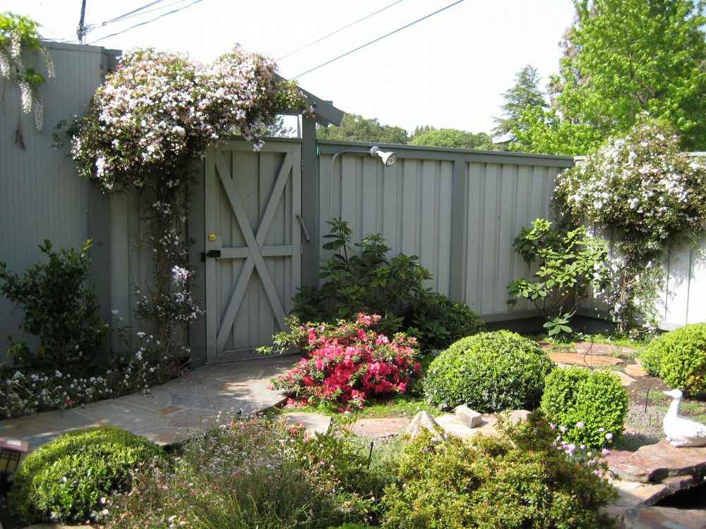 2250 Juniperberry Dr - Photo 2 of 23