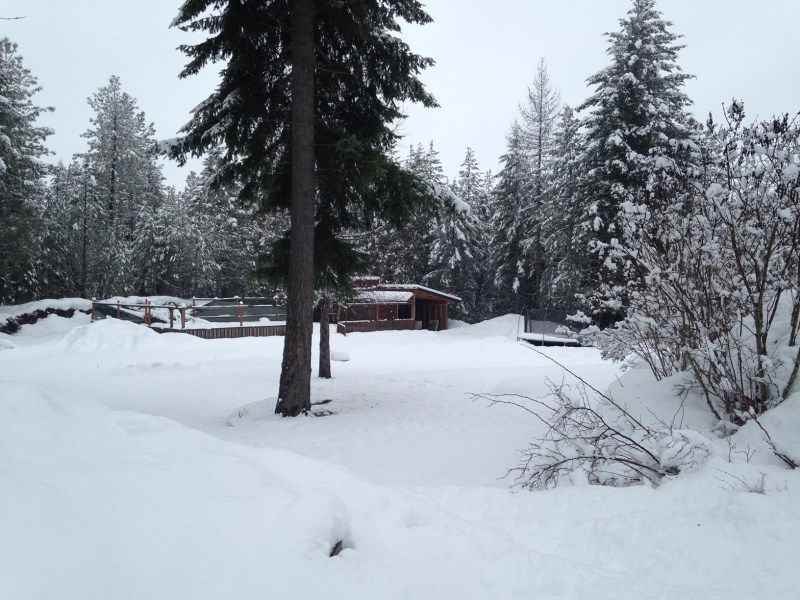 349 Chokecherry Dr - Photo 2 of 9