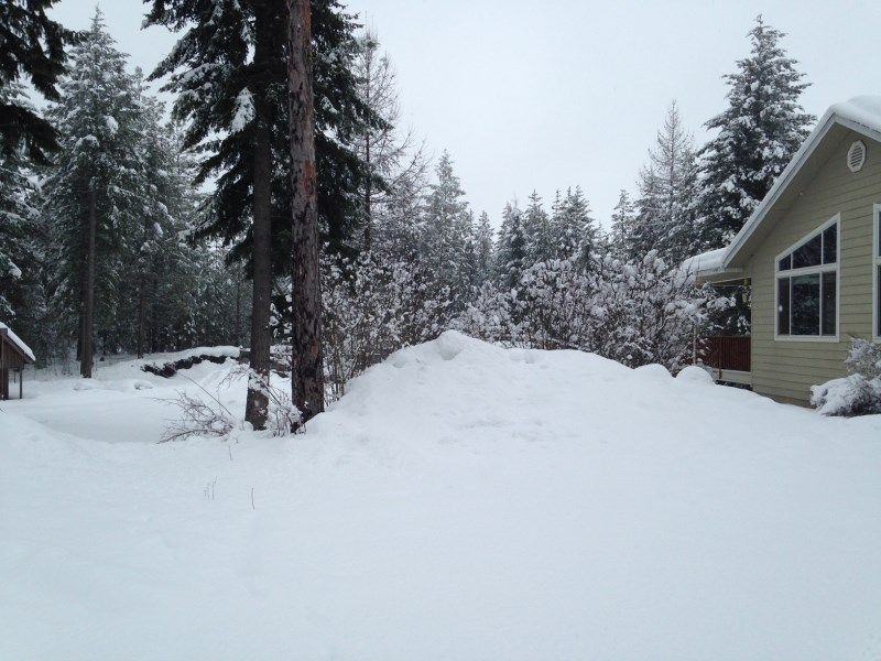 349 Chokecherry Dr - Photo 3 of 9