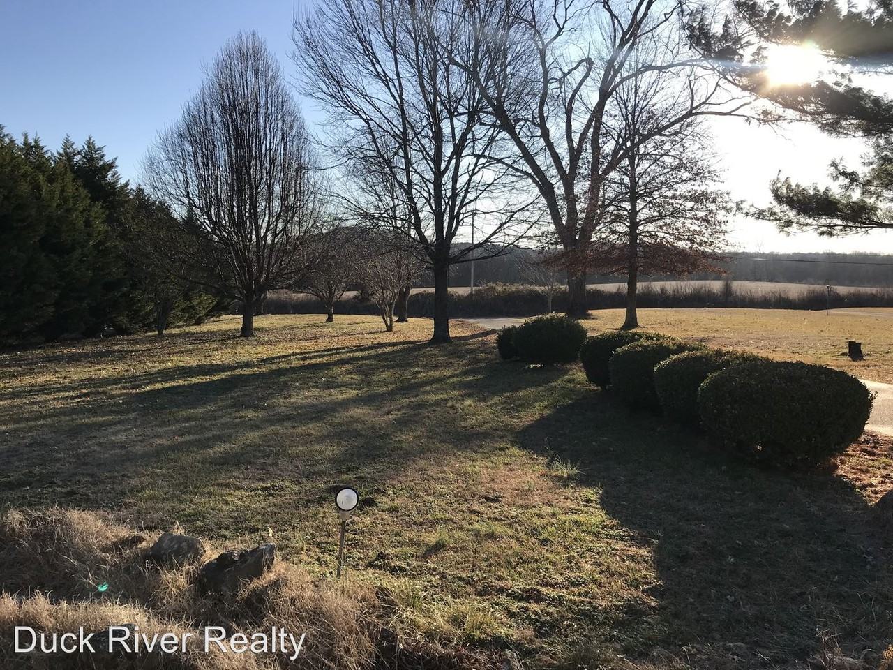 1733 Carters Creek Pike - Photo 3 of 15