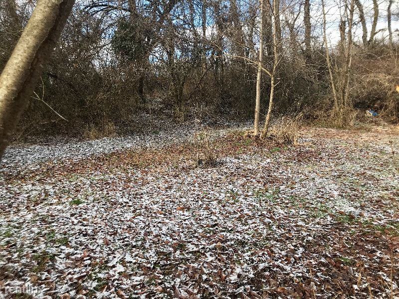 620 Clines Church Rd - Photo 2 of 11